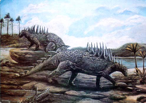 Ankylosauria Polacantus